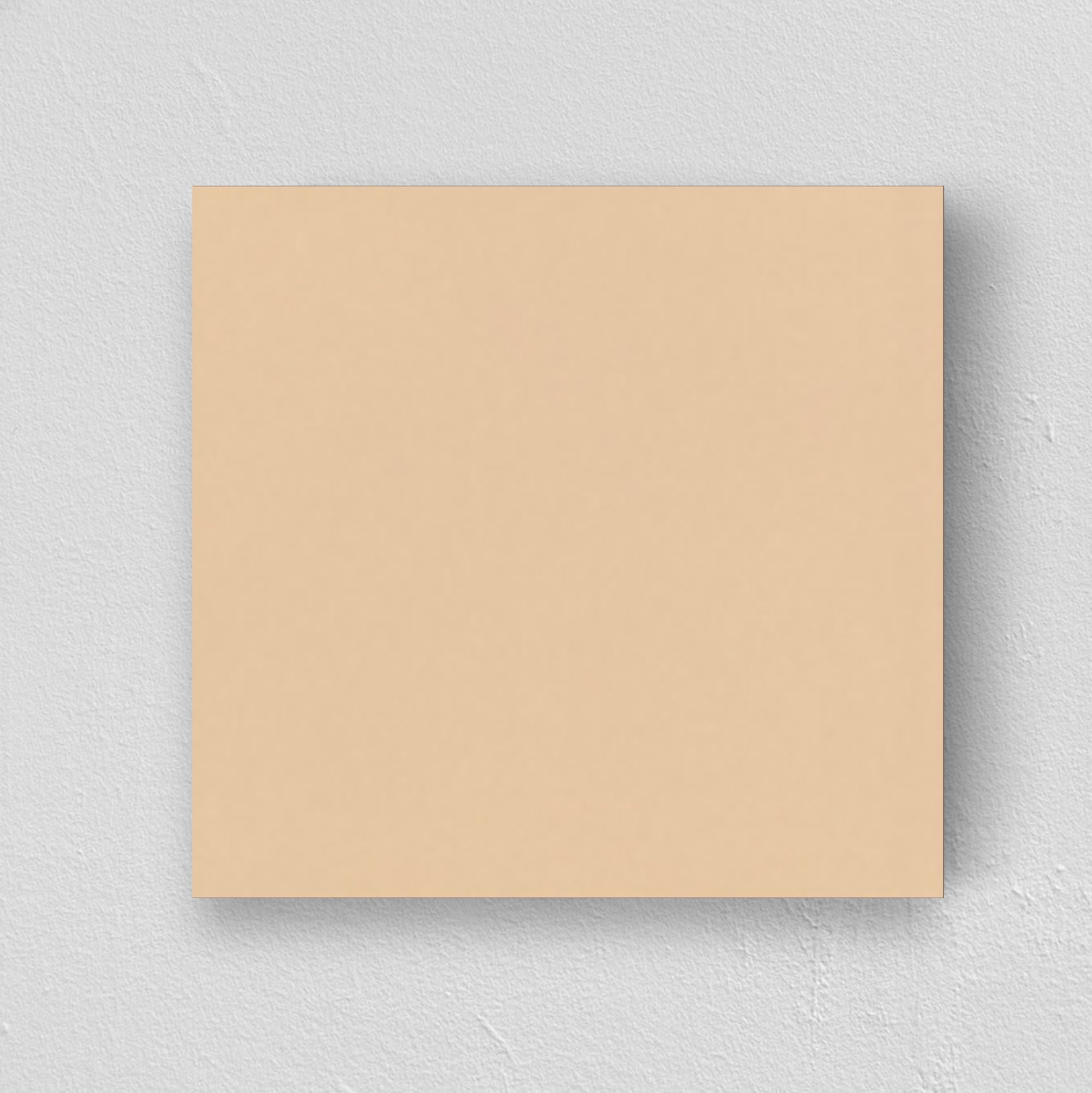 Rosa / Matt / 100X100