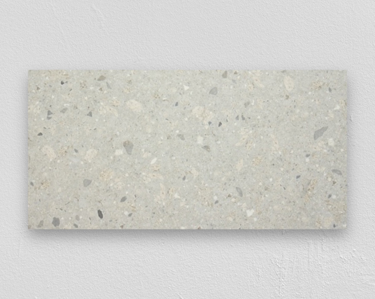 Silver Grey / Matt / 600x1200