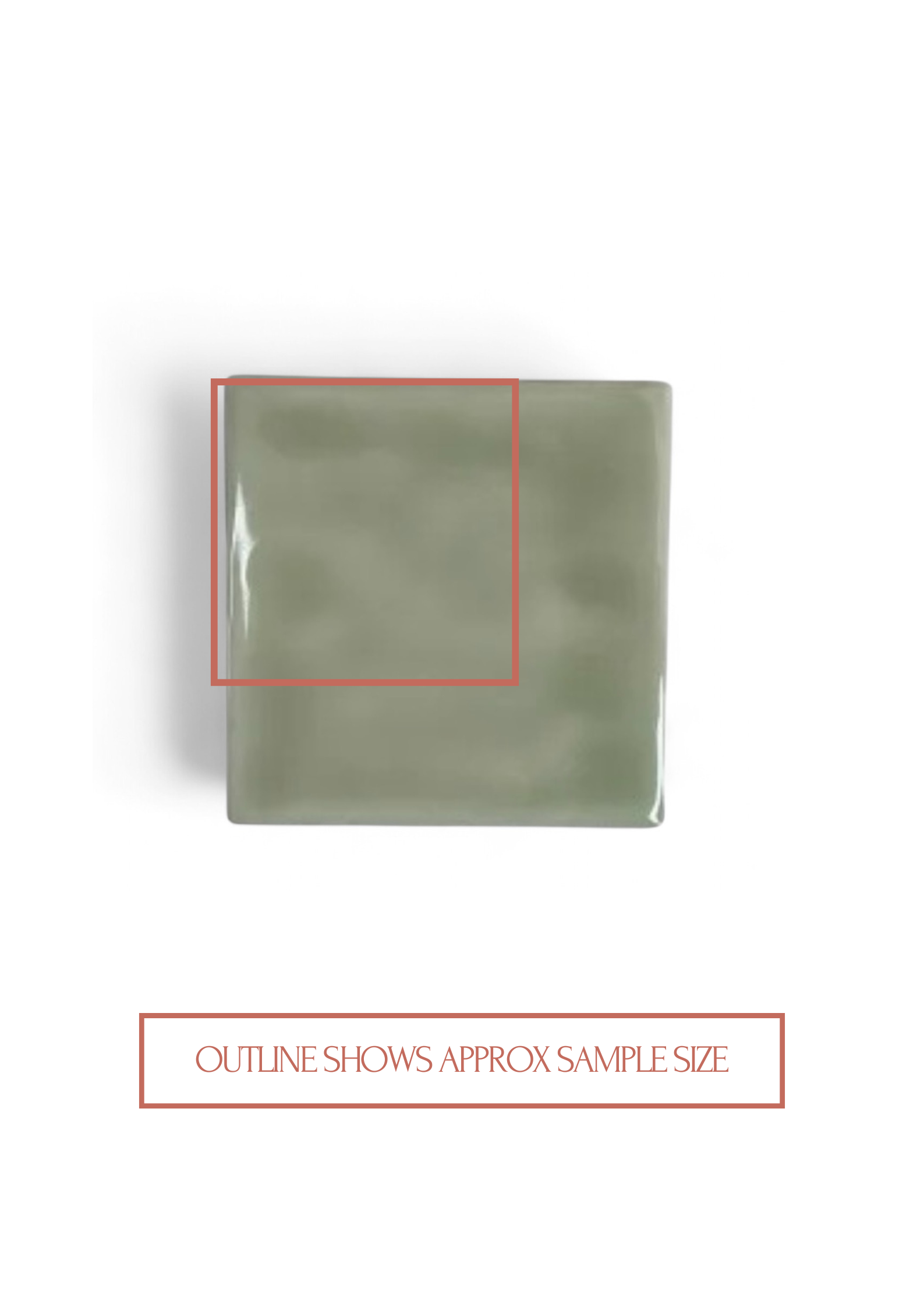 Olive / Gloss / 100X100