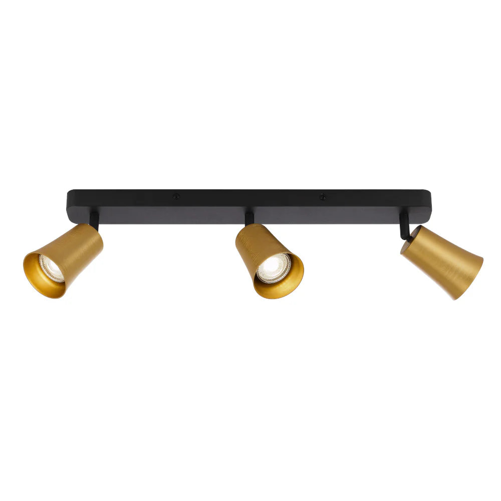 Gold / Black