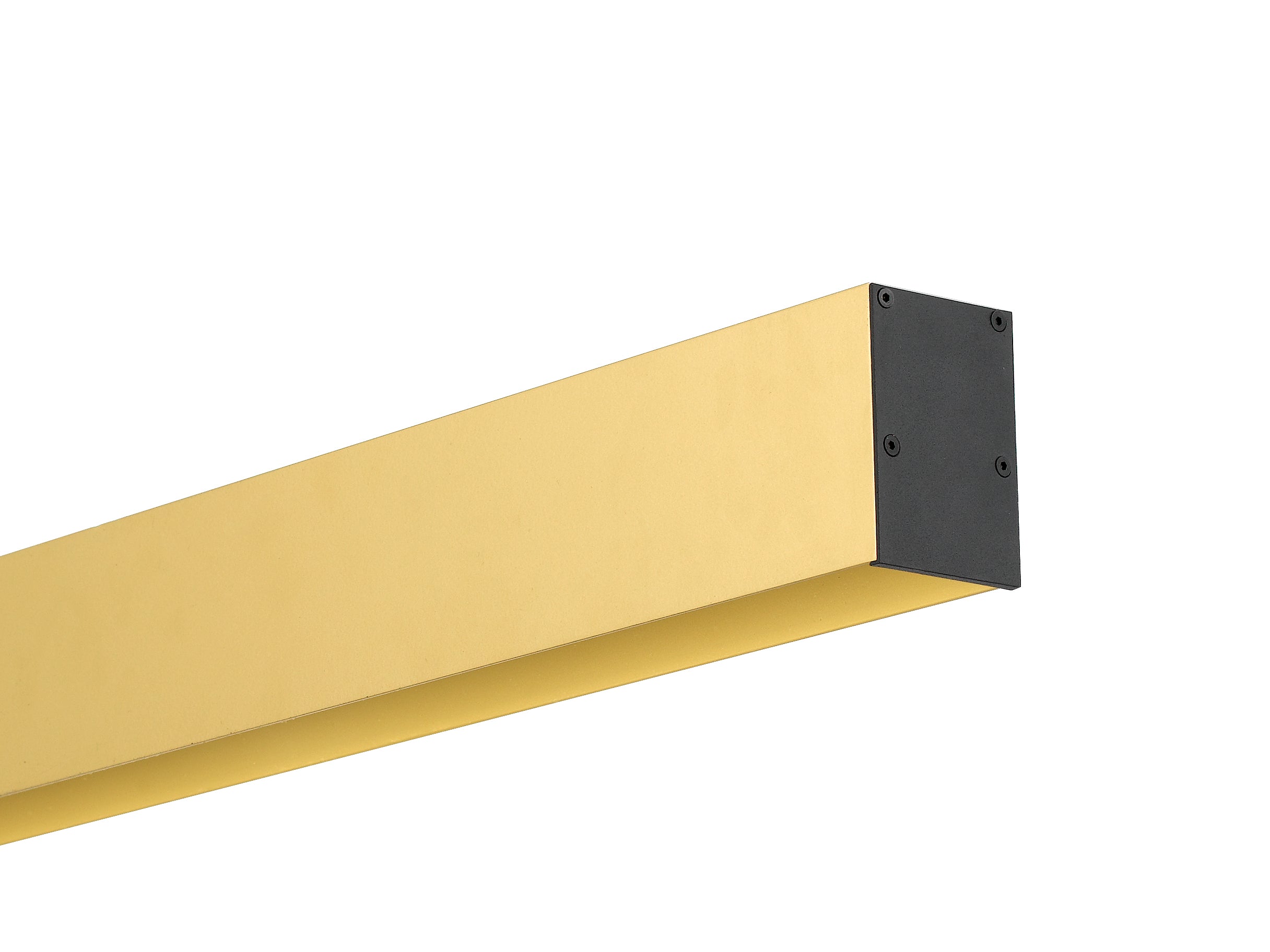 Gold / Black